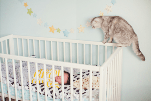 How To Introduce Your Pet To Your New Baby limits